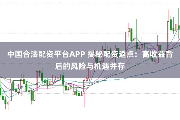 中国合法配资平台APP 揭秘配资返点：高收益背后的风险与机遇并存