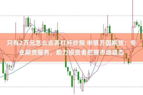 只有2万元怎么去弄杠杆炒股 申银万国期货：专业期货服务，助力投资者把握市场动态