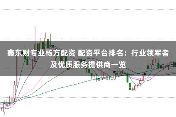 鑫东财专业杨方配资 配资平台排名：行业领军者及优质服务提供商一览
