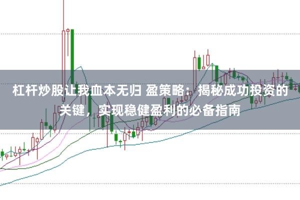 杠杆炒股让我血本无归 盈策略：揭秘成功投资的关键，实现稳健盈利的必备指南
