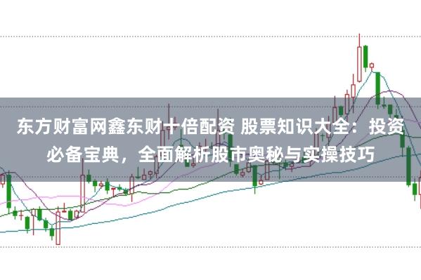 东方财富网鑫东财十倍配资 股票知识大全:投资必备宝典,全面解析股市奥秘与实操技巧