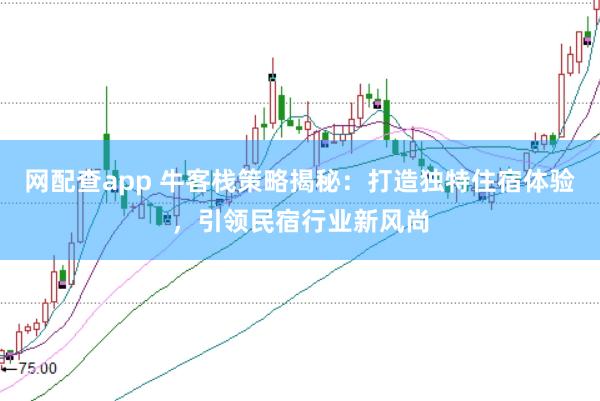 网配查app 牛客栈策略揭秘：打造独特住宿体验，引领民宿行业新风尚