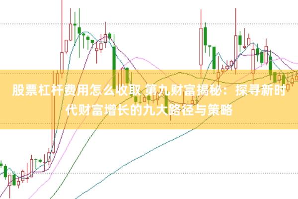 股票杠杆费用怎么收取 第九财富揭秘：探寻新时代财富增长的九大路径与策略