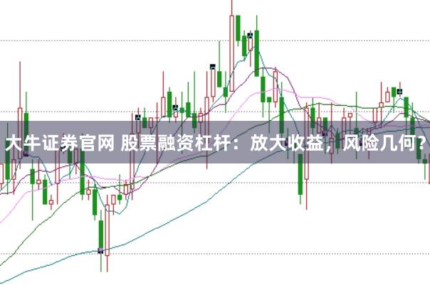 大牛证券官网 股票融资杠杆：放大收益，风险几何？