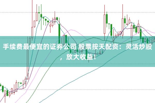 手续费最便宜的证券公司 股票按天配资:灵活炒股,放大收益!