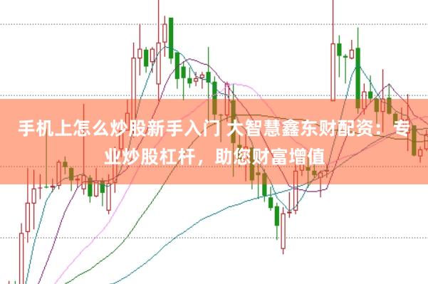 手机上怎么炒股新手入门 大智慧鑫东财配资：专业炒股杠杆，助您财富增值