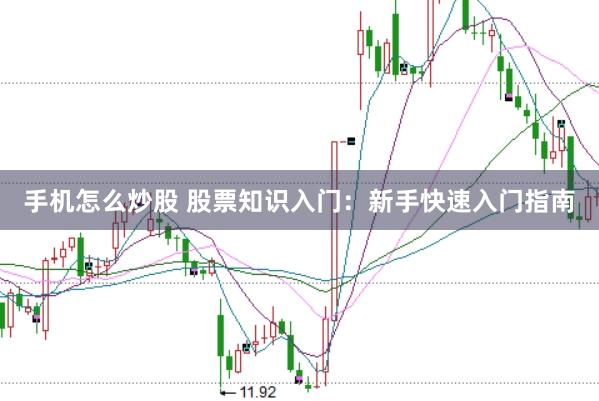 手机怎么炒股 股票知识入门:新手快速入门指南