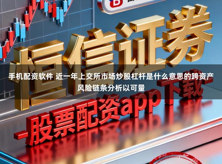 手机配资软件 近一年上交所市场炒股杠杆是什么意思的跨资产风险链条分析以可量