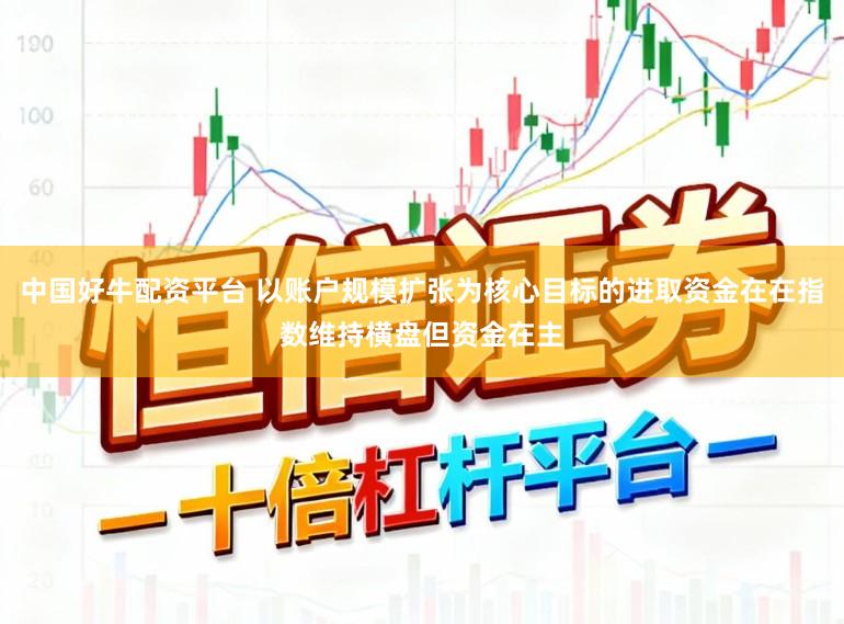 中国好牛配资平台 以账户规模扩张为核心目标的进取资金在在指数维持横盘但资金在主