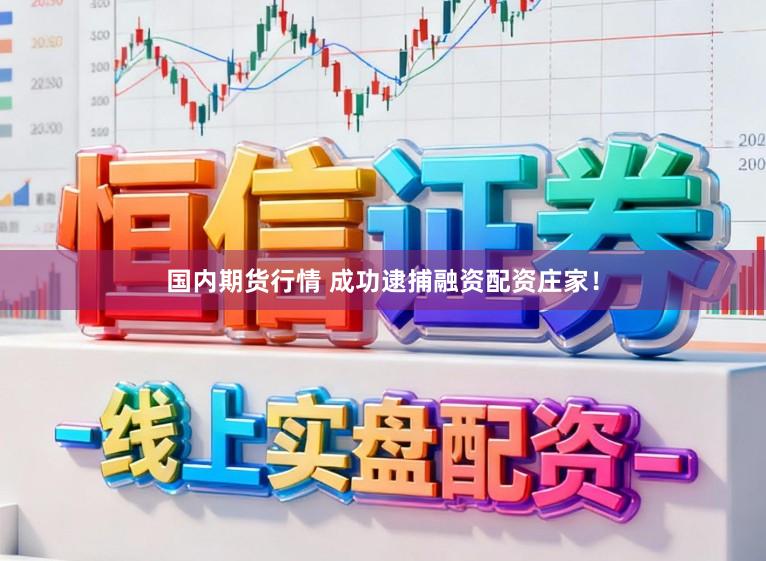 国内期货行情 成功逮捕融资配资庄家！