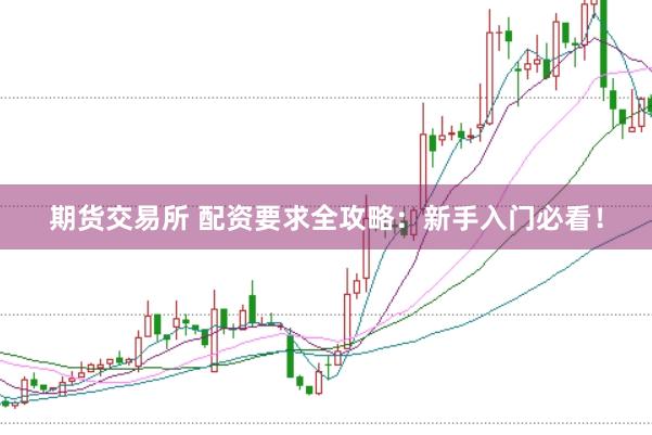 期货交易所 配资要求全攻略：新手入门必看！
